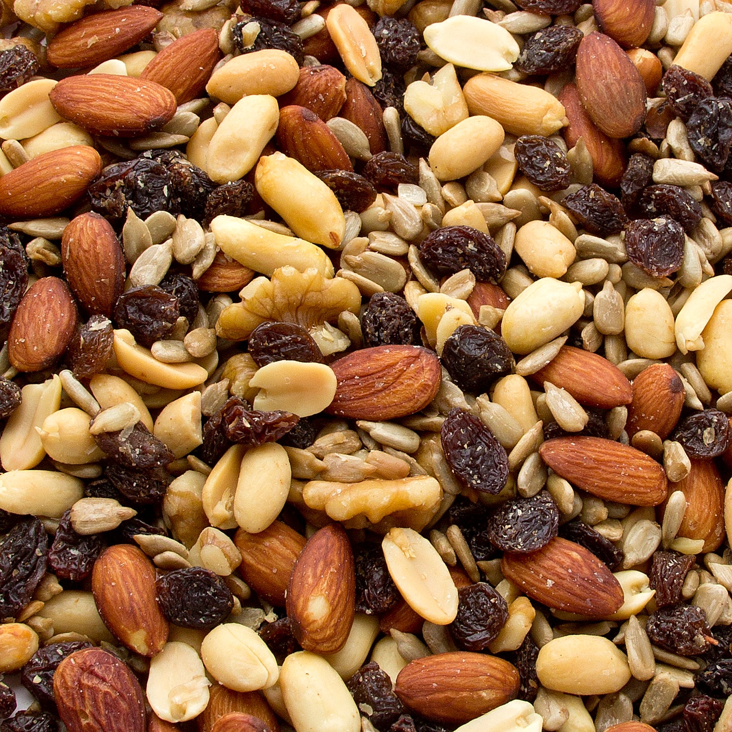 Raisin Nut Trail Mix - Salted