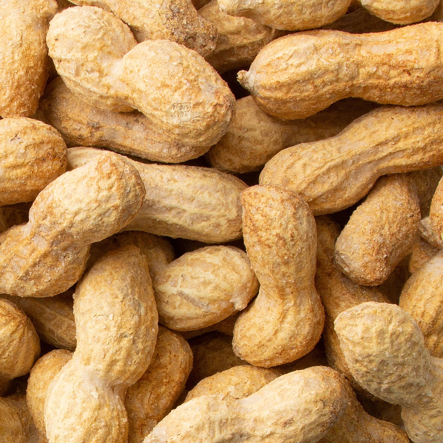 Roasted Salted Peanuts in Shell