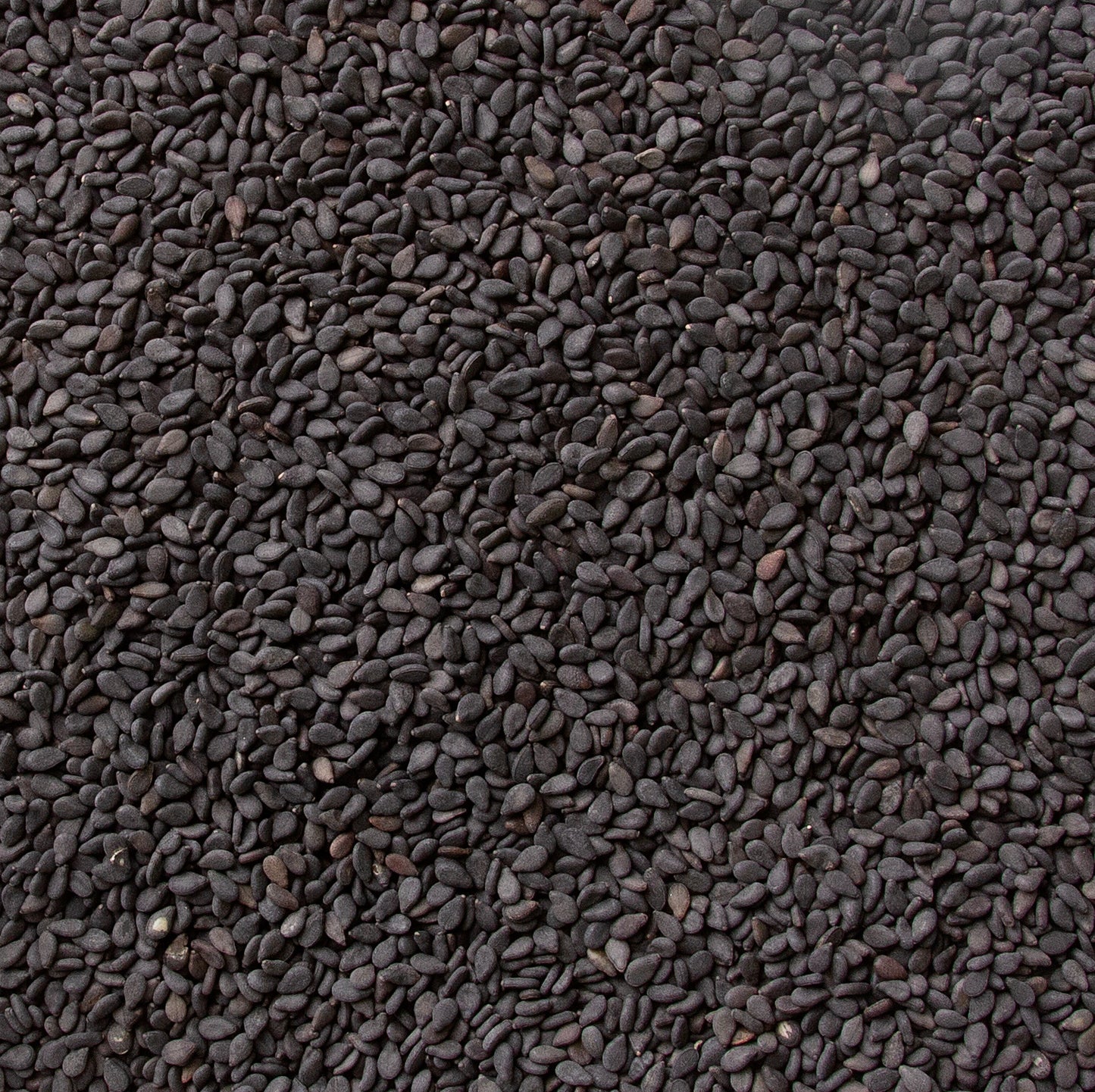 Black Sesame Seeds