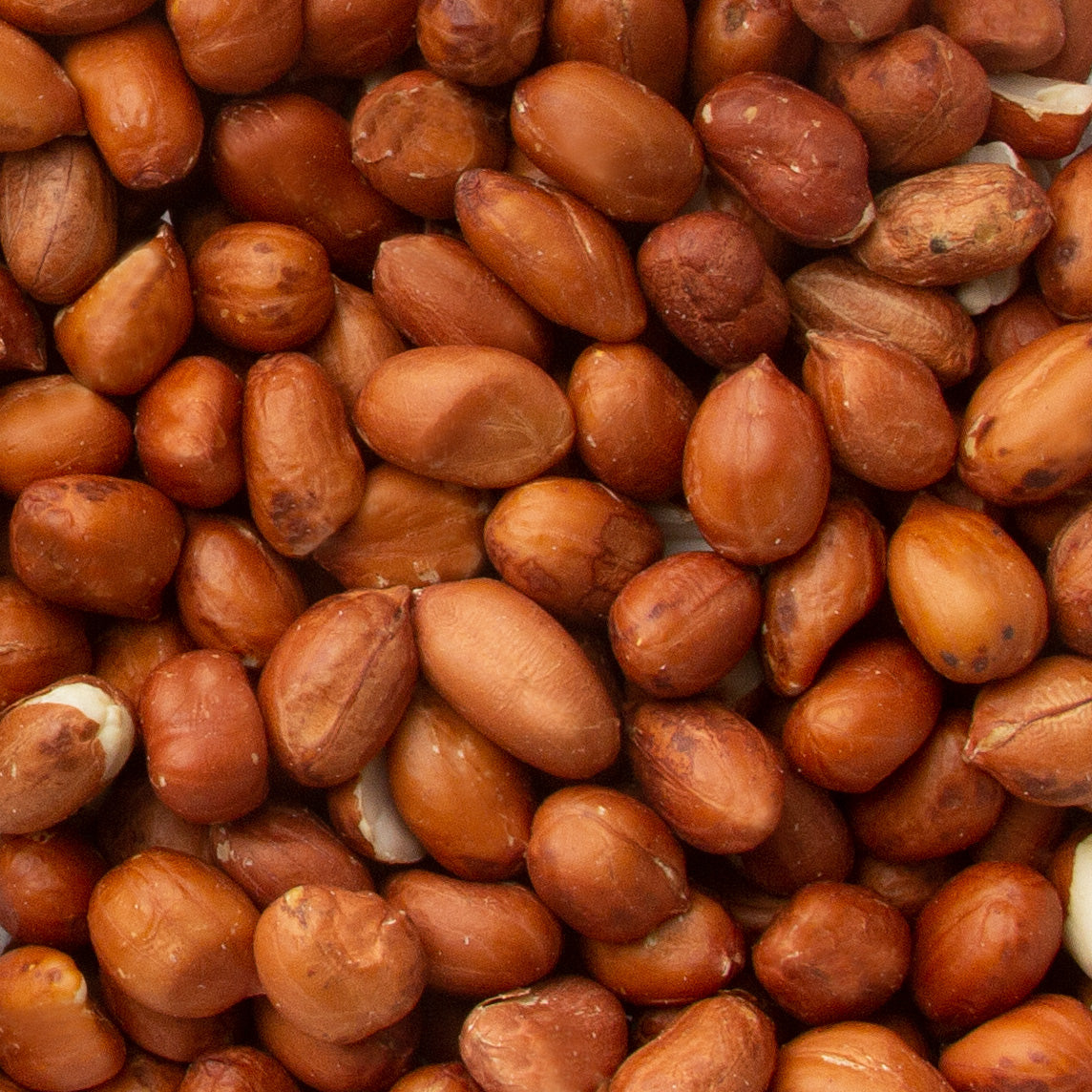Raw Red Skin Peanuts