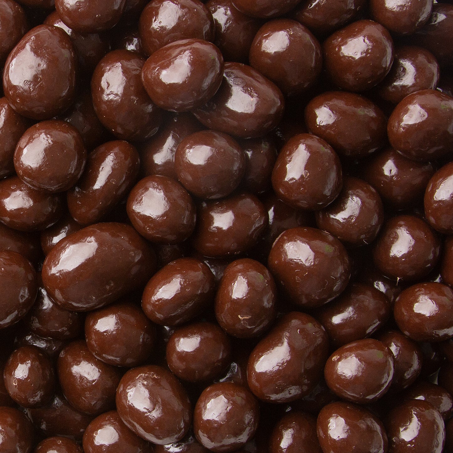 Sugar Free Dark Chocolate Covered Raisins