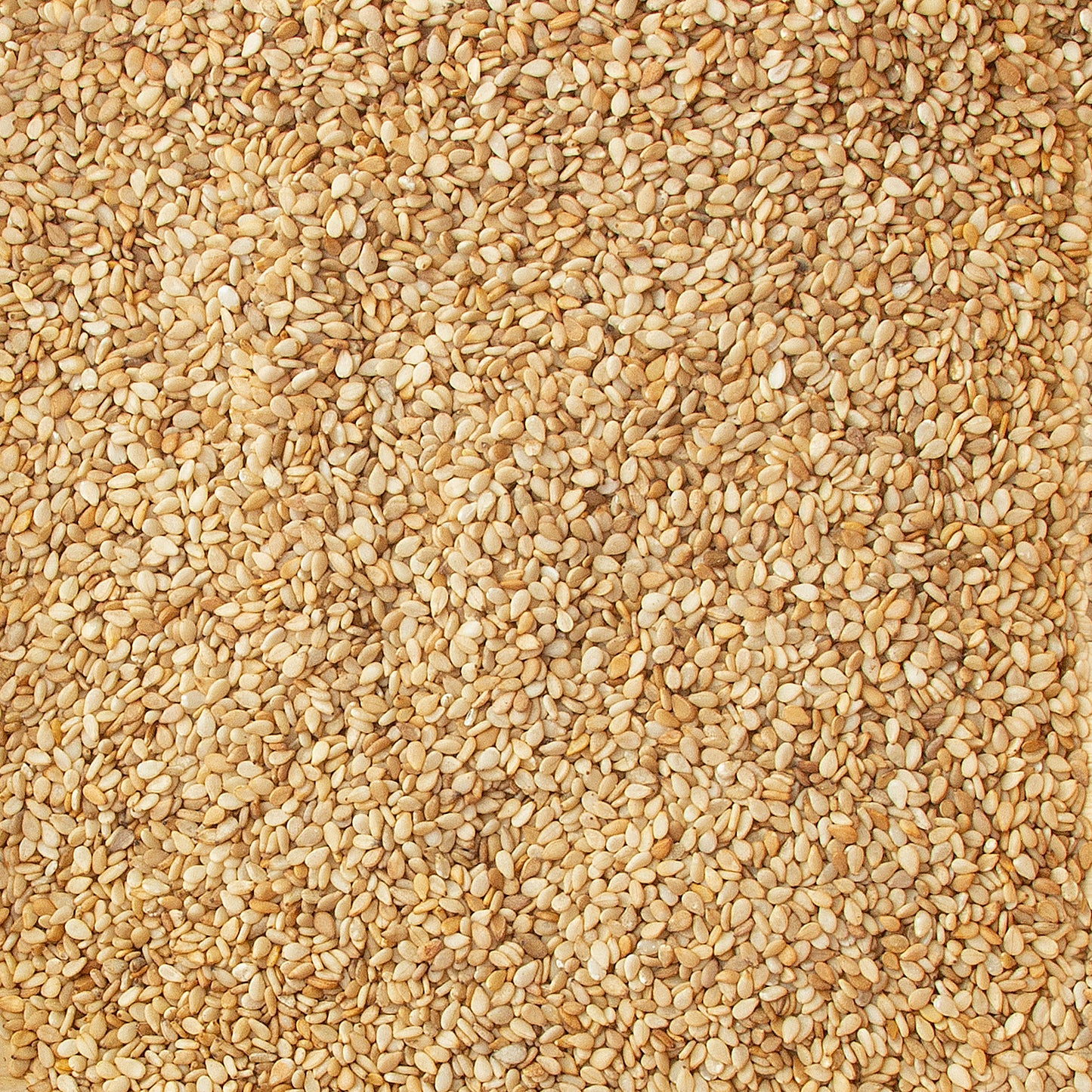 Roasted Sesame Seeds