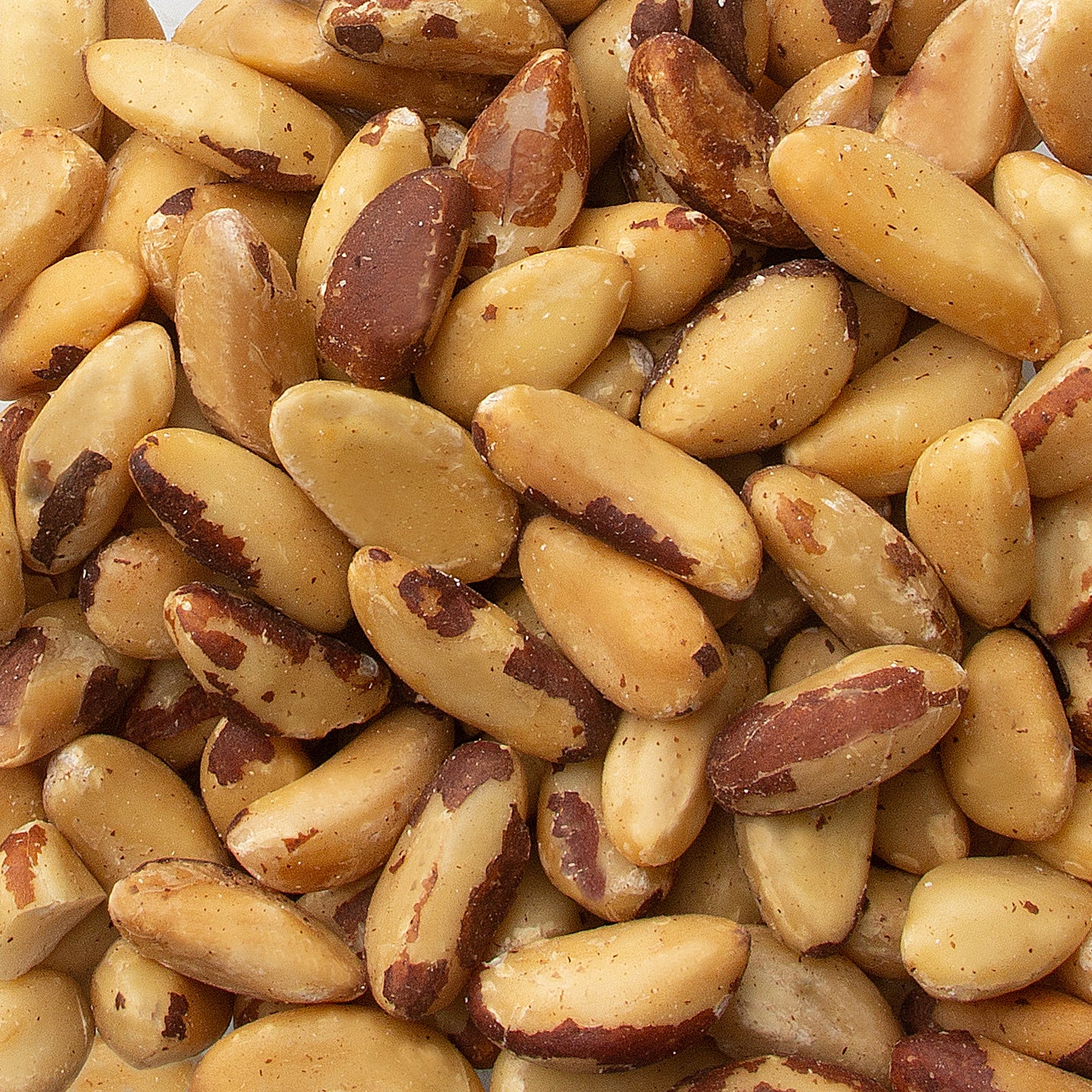 Jumbo Raw Brazil Nuts
