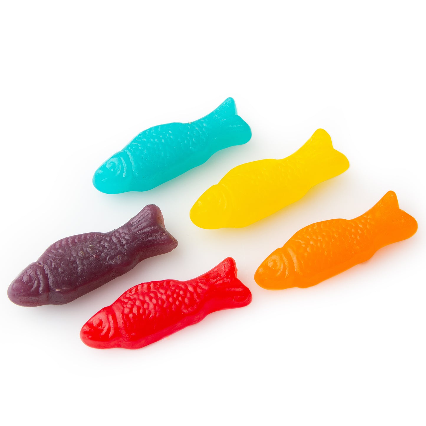 Assorted colorful Jelly Fishes