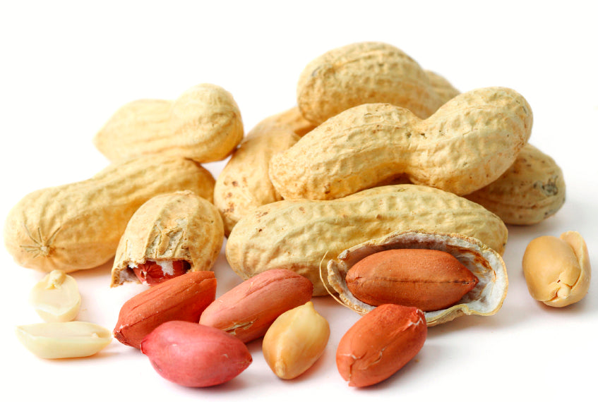 Roasted Unsalted Peanuts in Shell