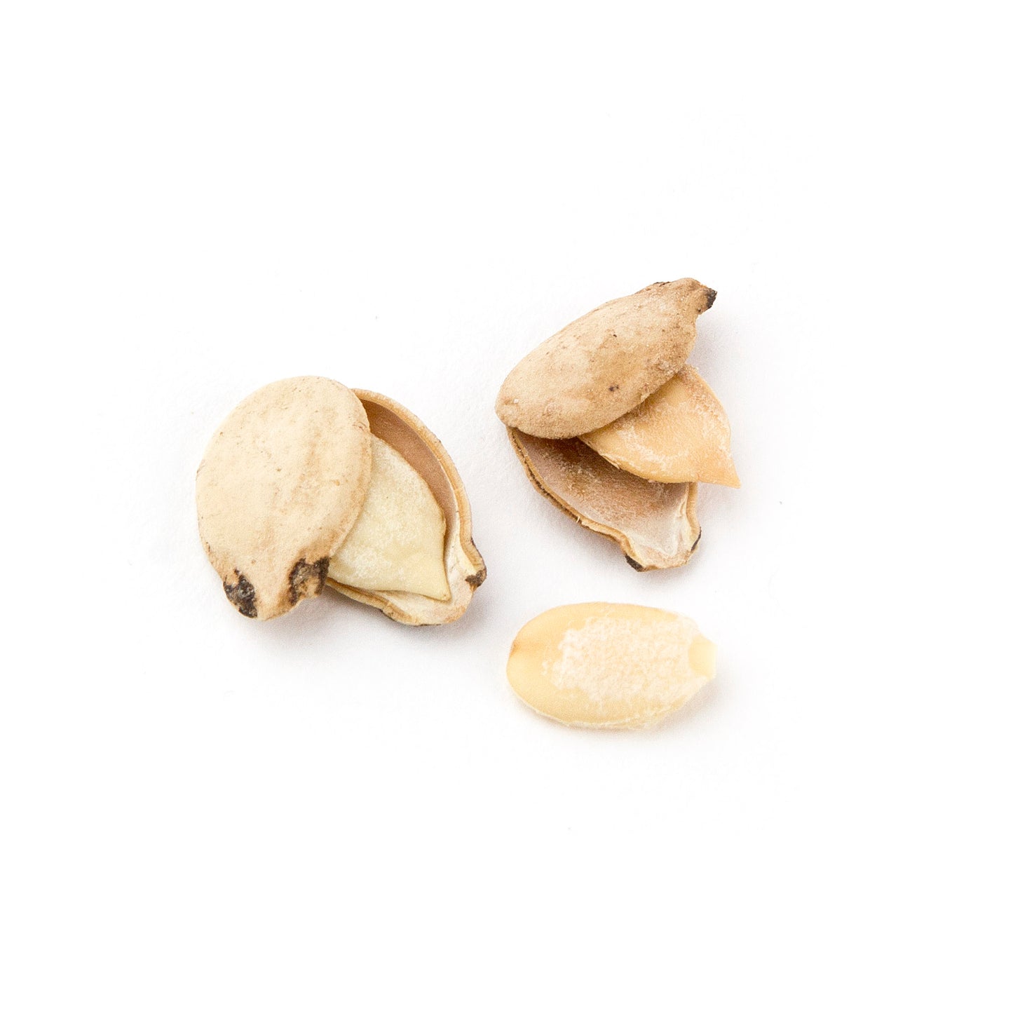 Roasted Salted Israeli Watermelon Seeds 