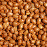 Roasted Unsalted Soy Nuts