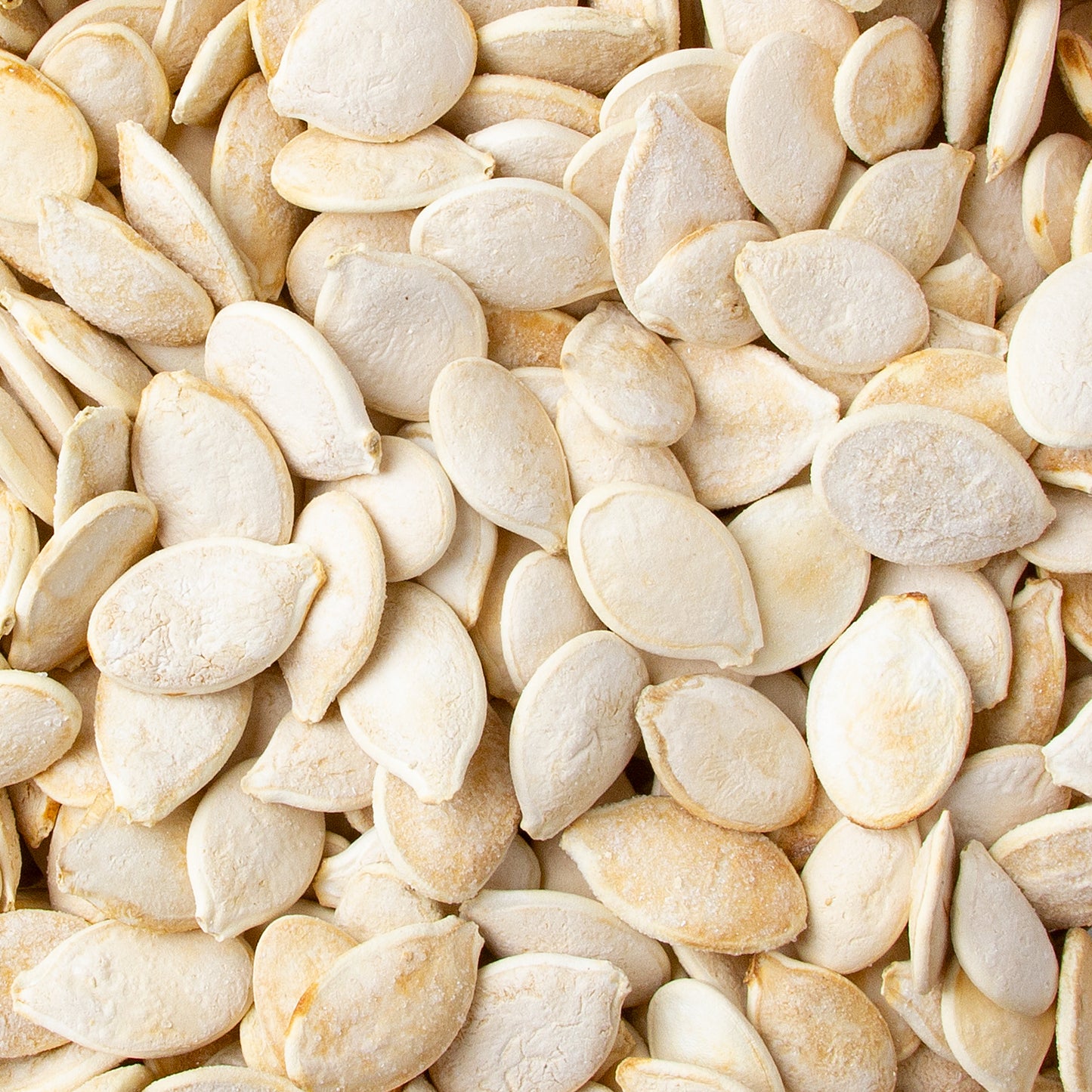 Roasted Unsalted Israeli Jumbo Pumpkin Seeds