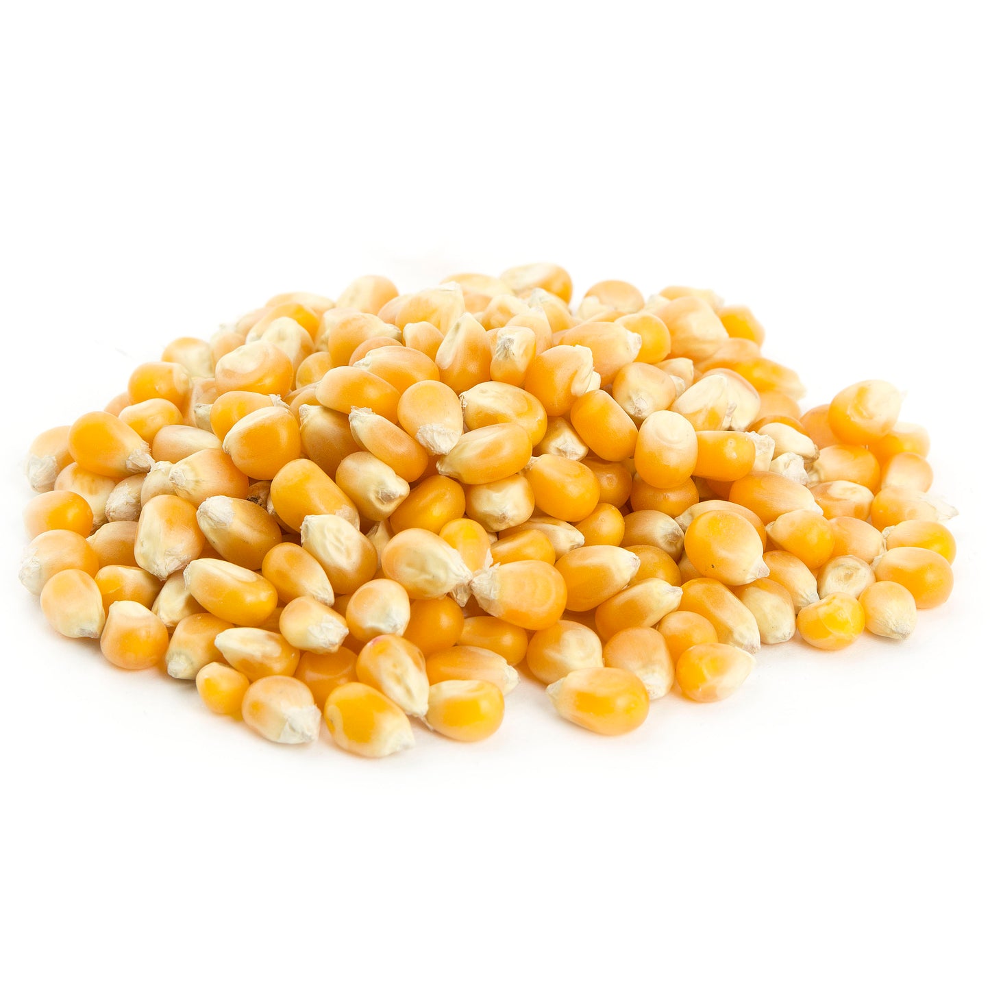 Popcorn Kernels Seeds