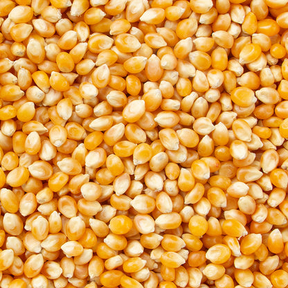 Popcorn Kernels
