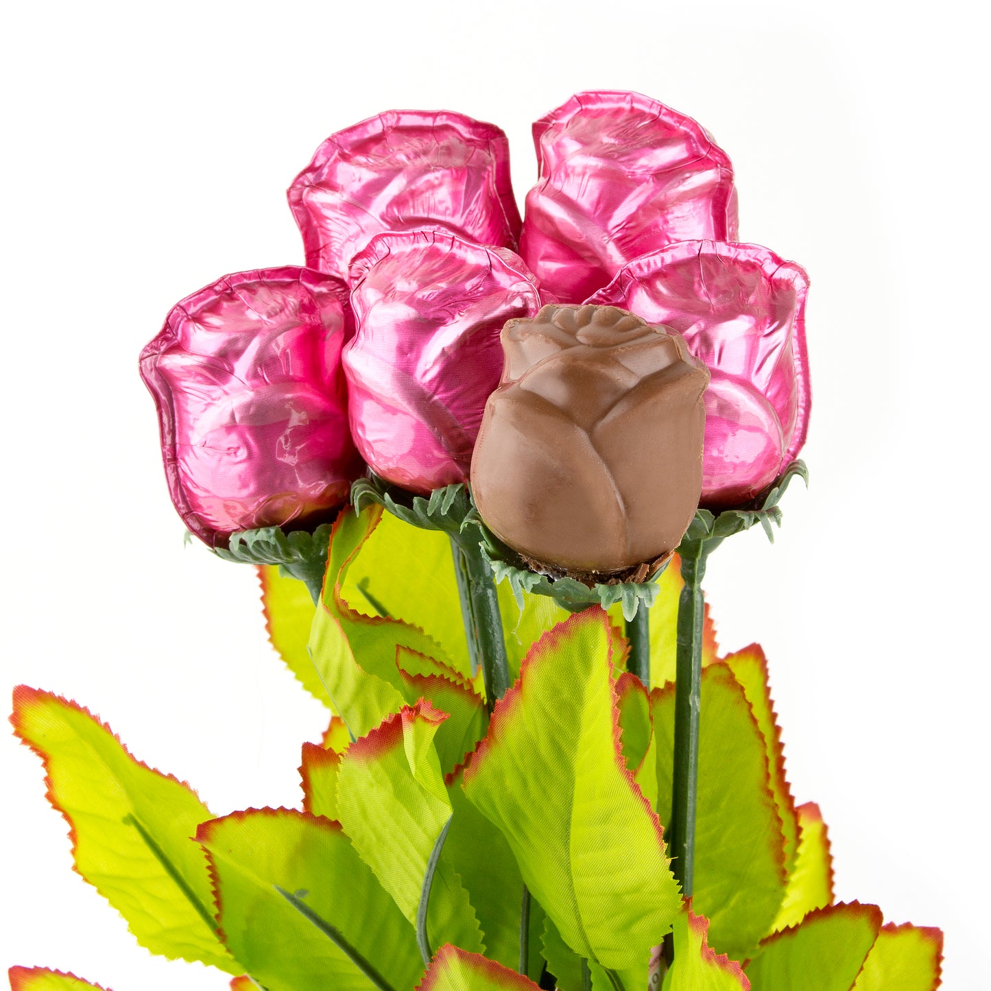 Pink Milk Chocolate Long Stem Roses - 6-Pack