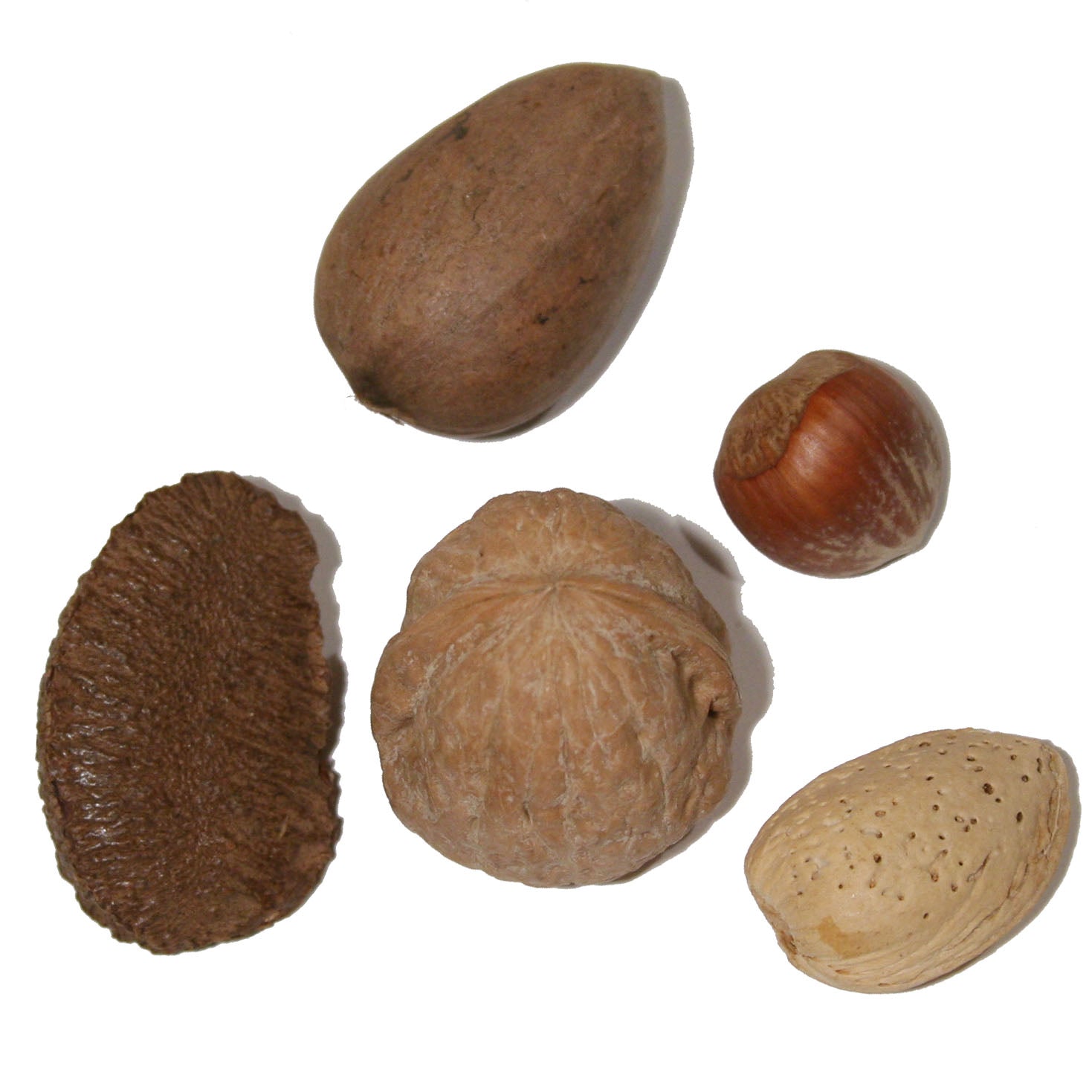 Mixed Nuts in Shell