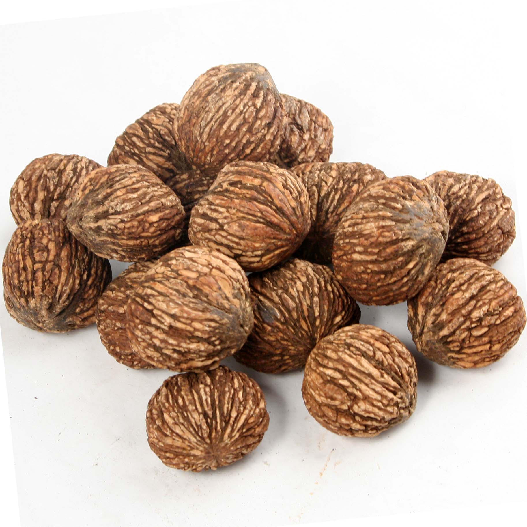 Black Walnuts in Shell