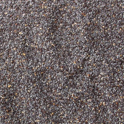Close-up of poppy seeds with a textured background