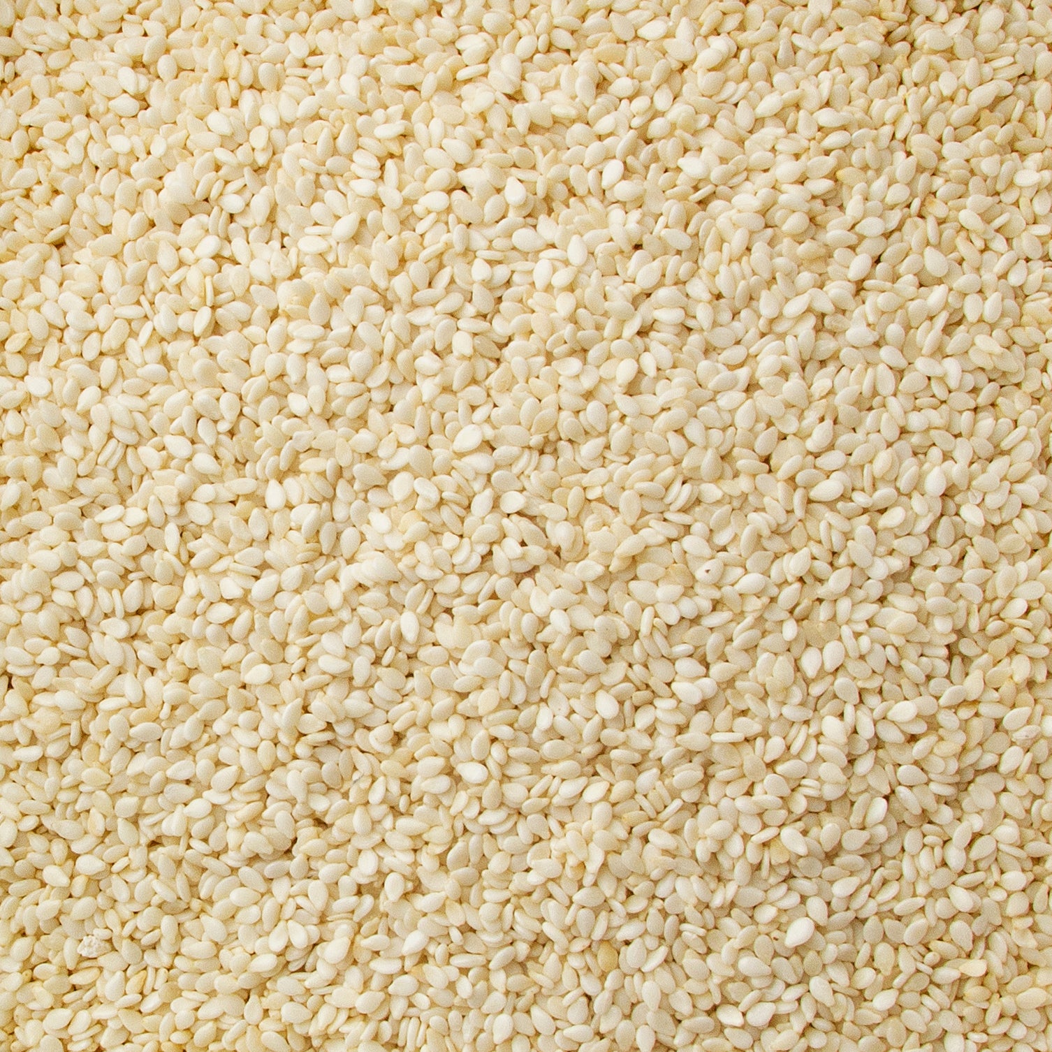 Hulled Sesame Seeds