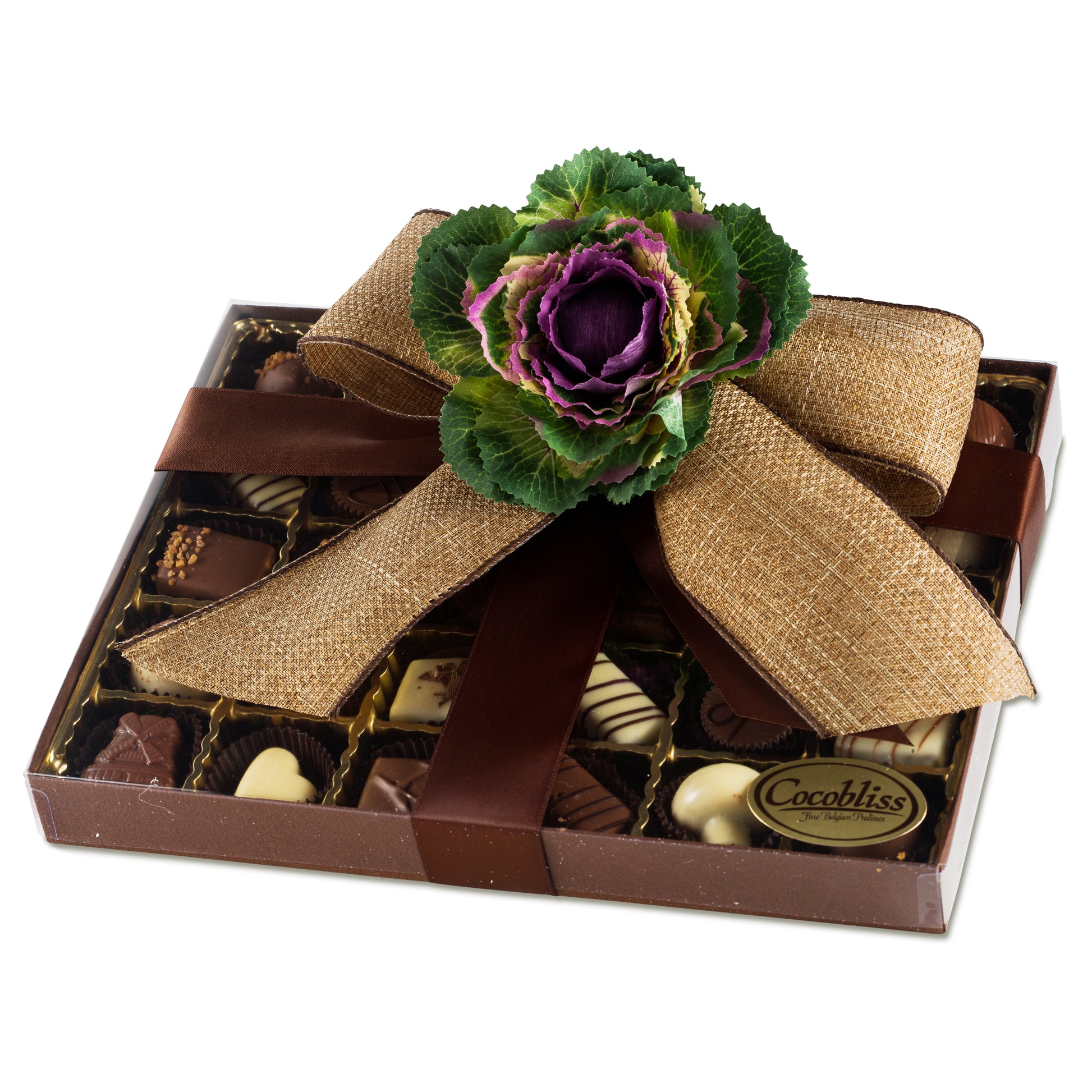 Premium Belgium Truffles Clear Brown Box