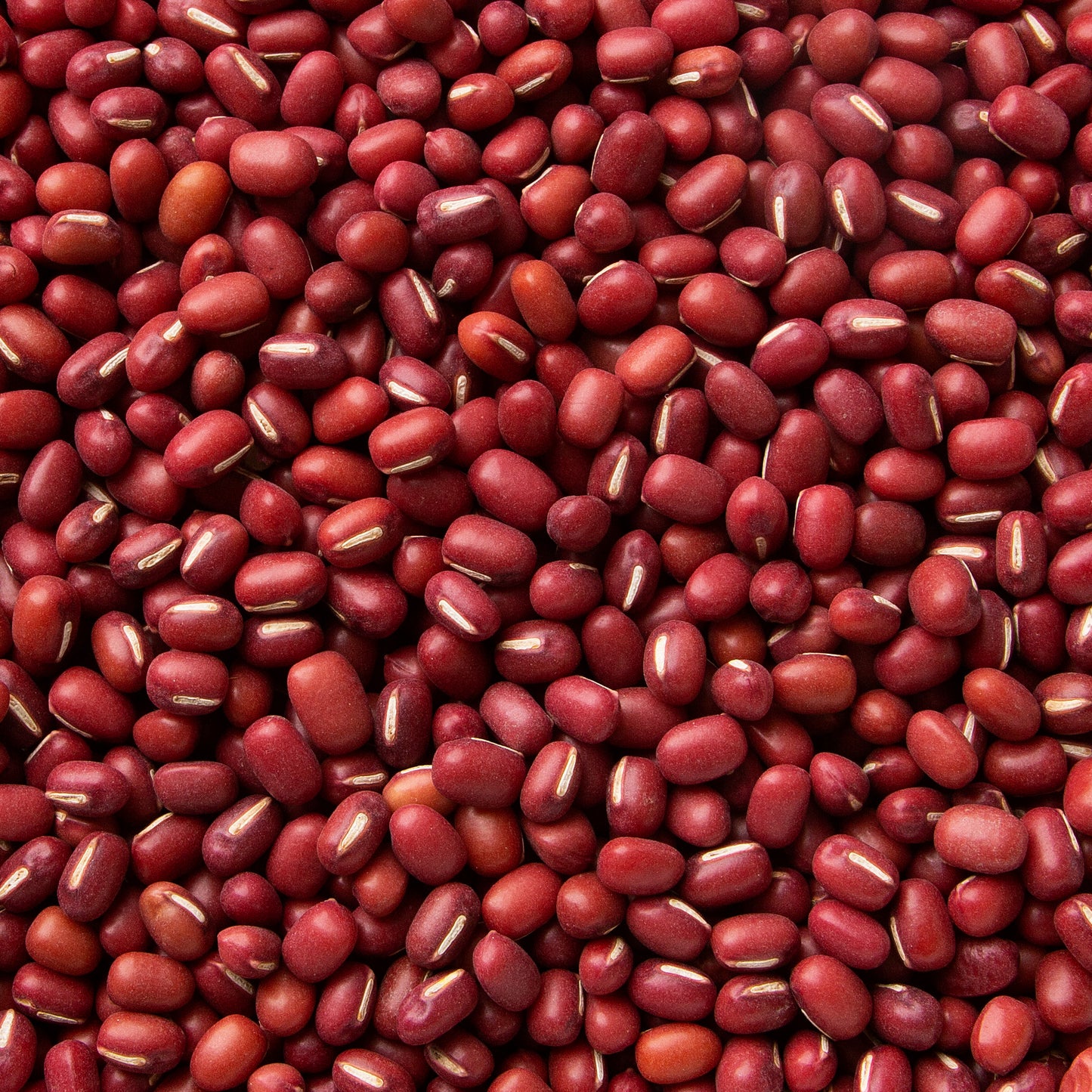 Adzuki Beans