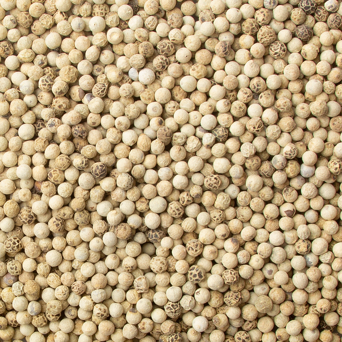 Whole White Pepper
