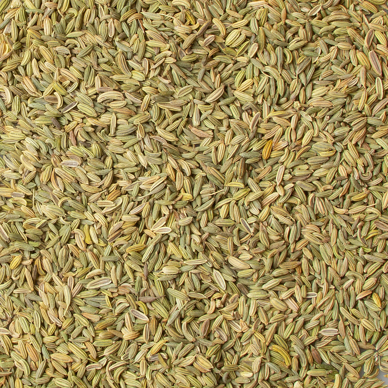 Fennel Seeds