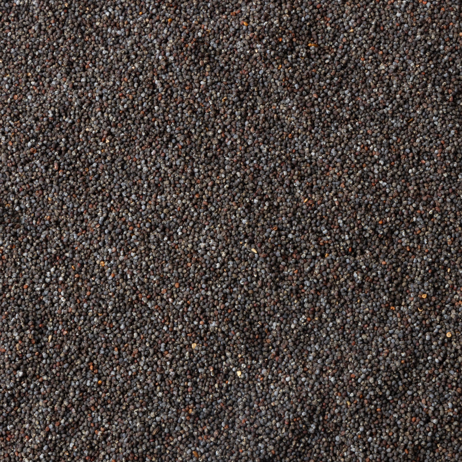 UK Blue Poppy Seeds