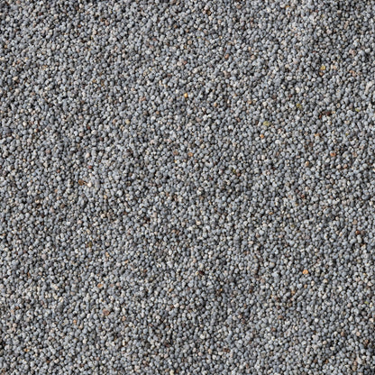 Australia Blue Poppy Seeds