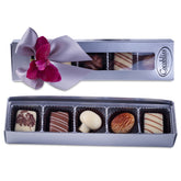 Premium Belgium Truffles Box - 5 PC Box
